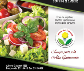 diseño grafico