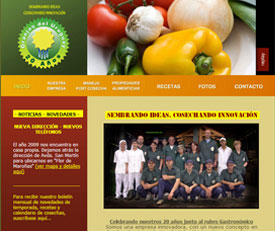 Diseño Web